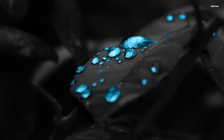 blue and silver beaded bracelet, selective coloring, water drops