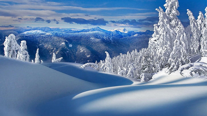 snow, winter, frost, snowy, forest, mountains, scenery, landscape, HD wallpaper