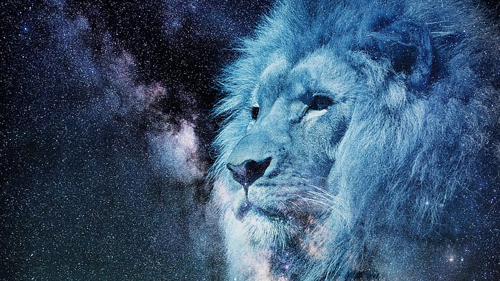 starry sky, lion, wildlife, astronomy, milky way, head, stars, HD wallpaper