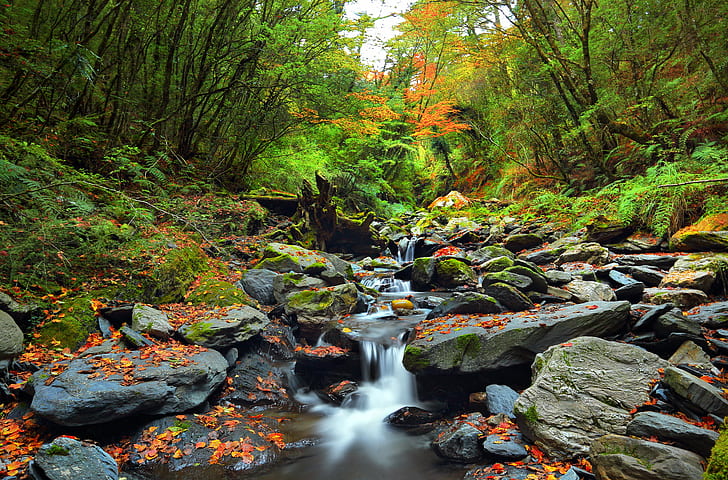 time lapse photo of flowing river surround by trees, Colors, 溪瀑, HD wallpaper