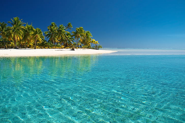 water beach cook islands islands the island palm trees pacific ocean sea 1920x1280  Nature Beaches HD Art