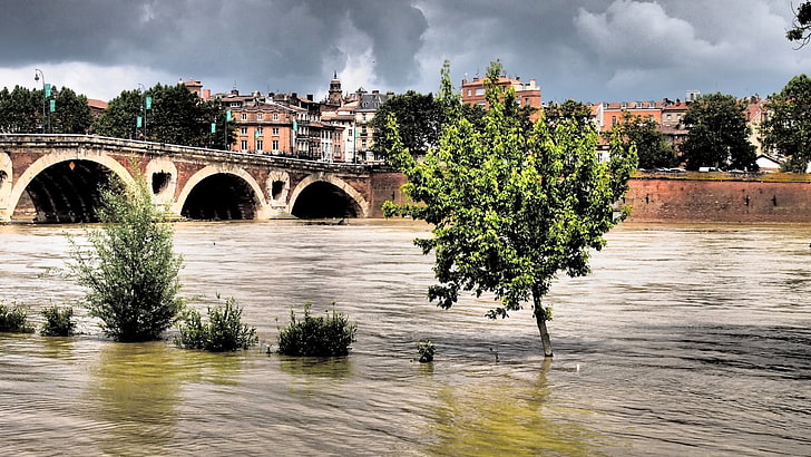 Toulouse, Pont-Neuf, Garonne, France, architecture, built structure, HD wallpaper