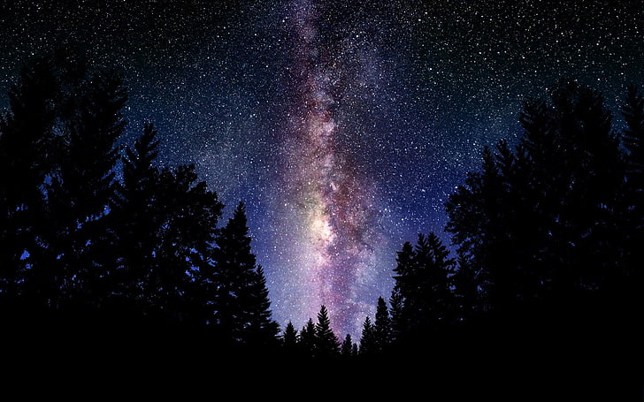 silhouette of trees at night, stars, Milky Way, space art, nature, HD wallpaper