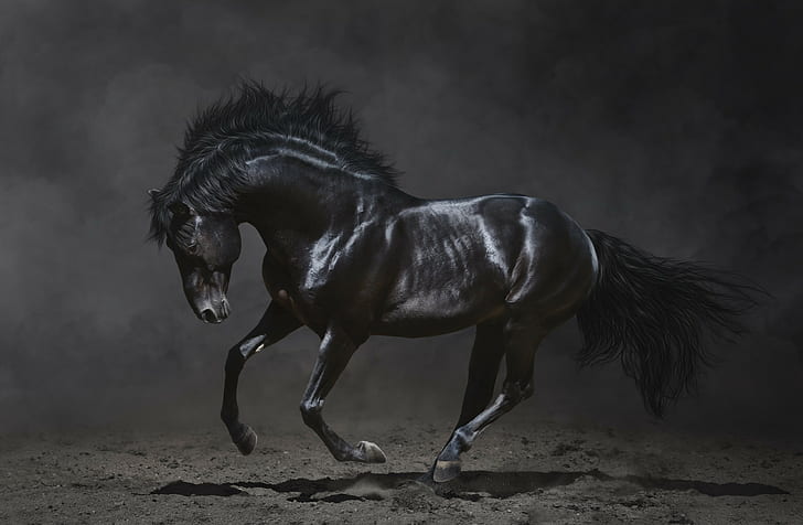 Dark Horse 1080P, 2K, 4K, 5K HD wallpapers free download | Wallpaper Flare