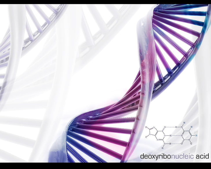 DNA illustration, science, formula, helix, chromosome, spiral, HD wallpaper