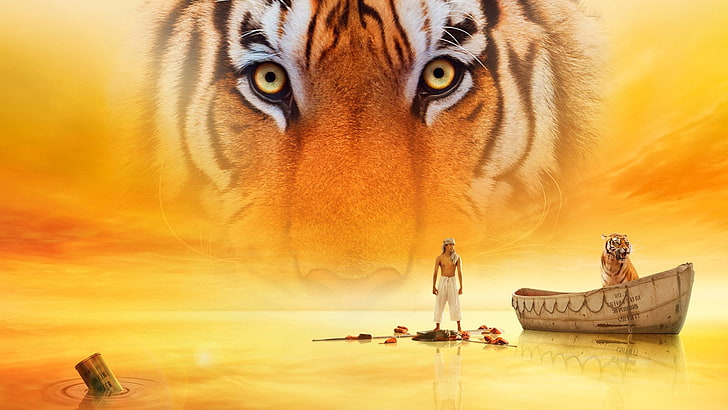 Movie, Life of Pi, Eye, Tiger, HD wallpaper