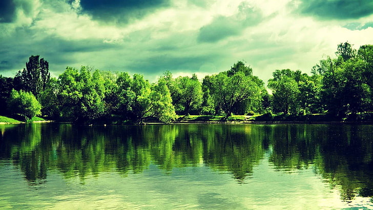 nature, lake, water, trees, plant, sky, beauty in nature, tranquility
