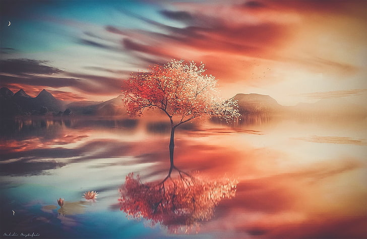 red-leafed tree in between body of water wallpaper, digital art, HD wallpaper
