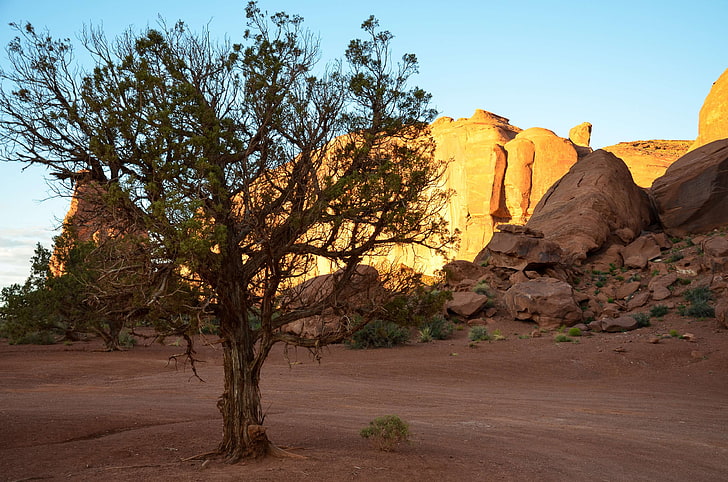 america, cliff, colorado plateau, desert, dry, indians, landscape, HD wallpaper