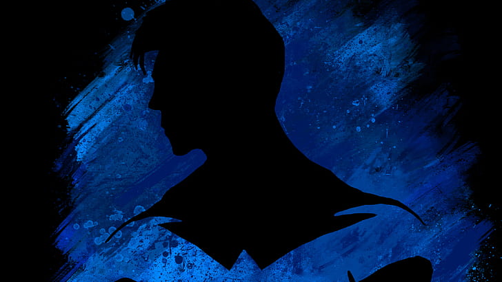 Nightwing iPhone nightwing for android HD phone wallpaper  Pxfuel