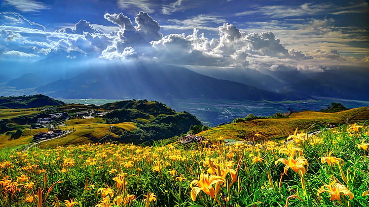 sunray, sunshine, cloud, grass, rays, field, highland, meadow, HD wallpaper