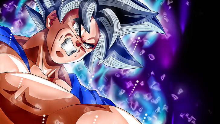 Dragon Ball Z Son Goku Ultra Instinct, Dragon Ball Super, ultra instict, HD wallpaper