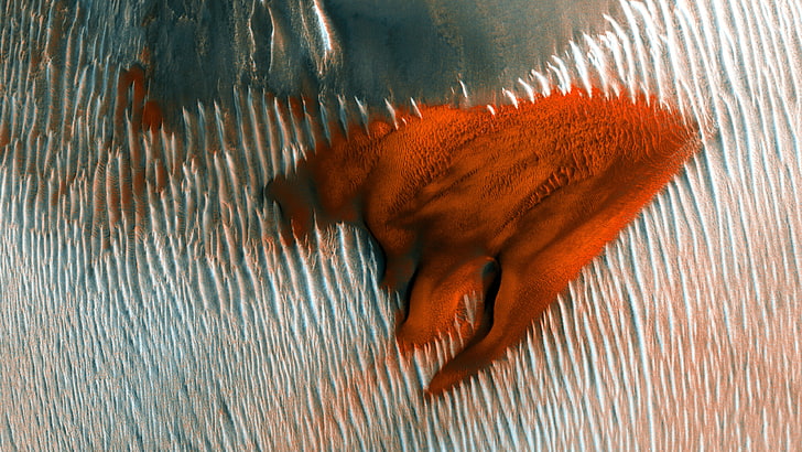 Mars, NASA, dune, landscape, one animal, animal themes, vertebrate