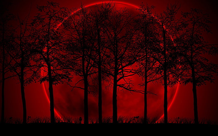 HD wallpaper: red moon and silhouette of trees digital wallpaper, background  | Wallpaper Flare