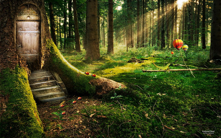 Enchanted Forest, green leaf trees, dreamy and fantasy, HD wallpaper