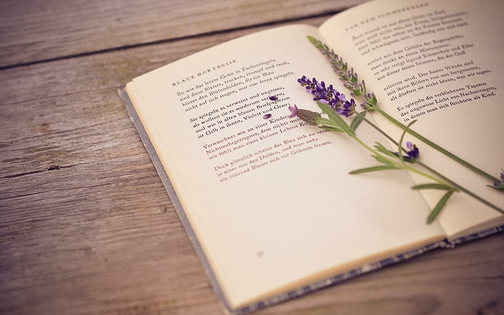 Book Lavender Flower