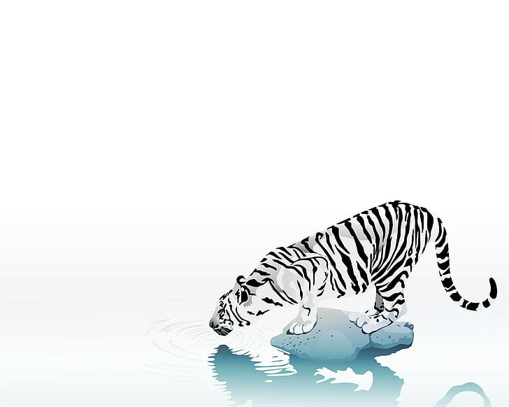 HD wallpaper: tiger, white background, animals, simple background |  Wallpaper Flare
