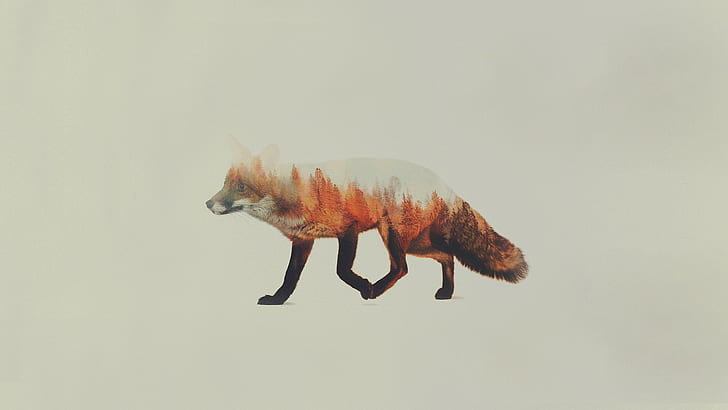 animals, Andreas Lie, fox, simple background, double exposure, HD wallpaper