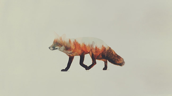 fox illustration, double exposure, Andreas Lie, animals, simple background