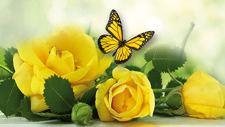 Mellow Yellow Roses, soft, papillon, blurry, leaves, fleurs, butterfly