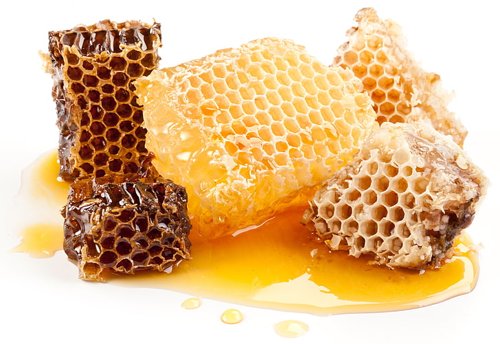honeycombs and honey, sweet, bee, beeswax, yellow, food, sweet Food, HD wallpaper