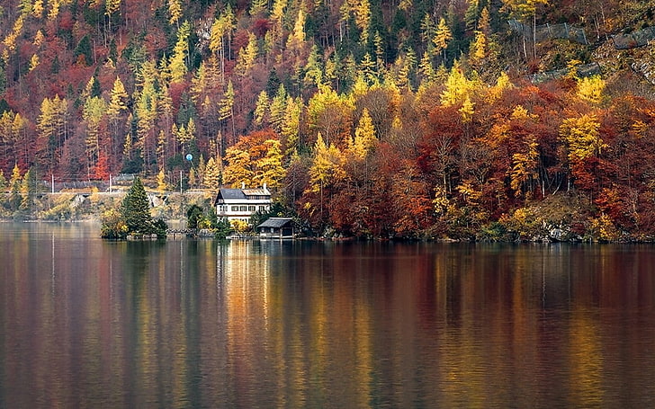 nature, landscape, lake, house, forest, Hallstatt, Austria, HD wallpaper
