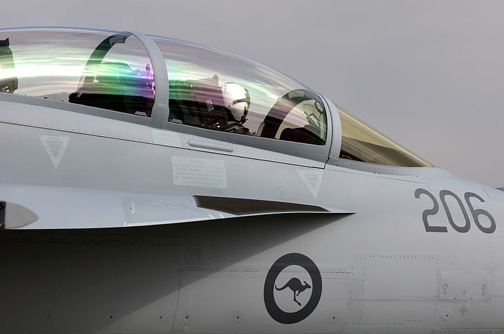 Raaf Super Hornet, cockpit, kangaroo, aircraft planes, HD wallpaper