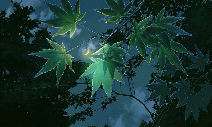 The Garden of Words, Makoto Shinkai, Nocturne, leaf, plant part