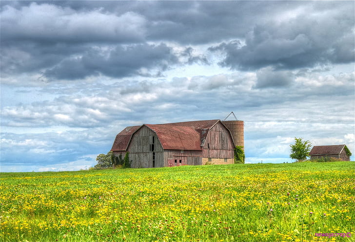 photography of brown barn near grass field under gray sky during daytime, flowering, carson, wi, flowering, carson, wi, HD wallpaper