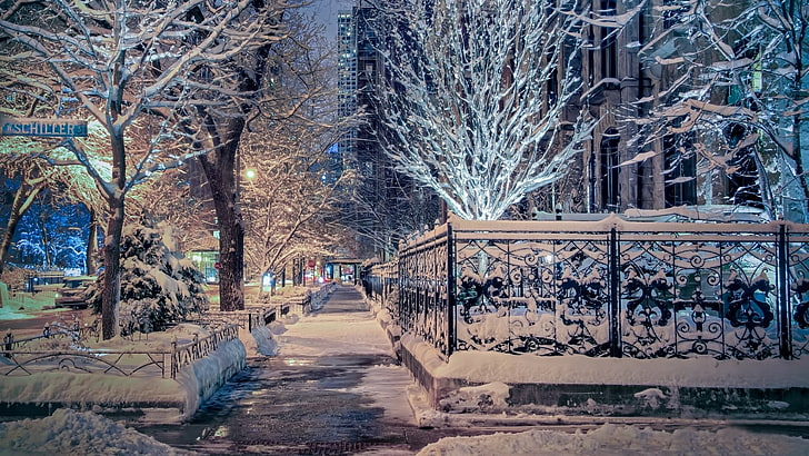 chicago, winter, tree, snow, ilinois, united states, plant, HD wallpaper