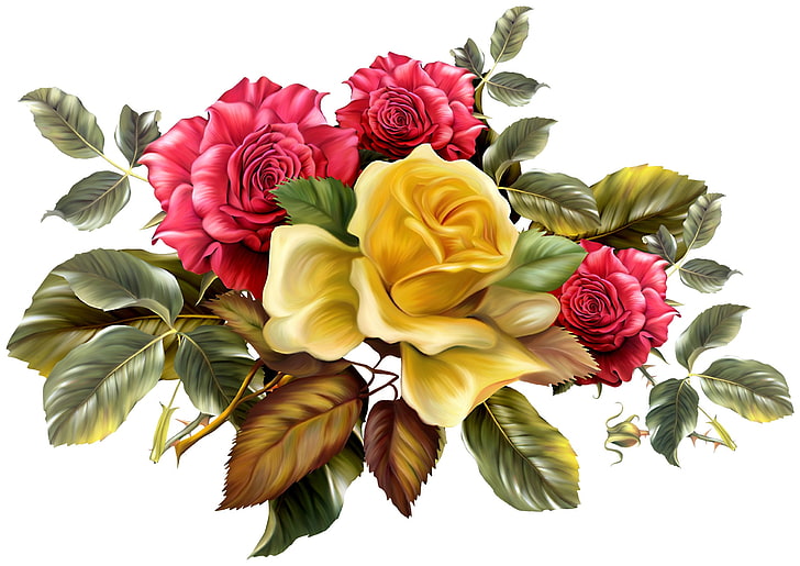 red and yellow flowers illustration, leaves, background, roses, HD wallpaper