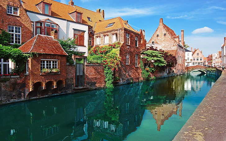 brown concrete building near body of water photo, Bruges, nature, HD wallpaper