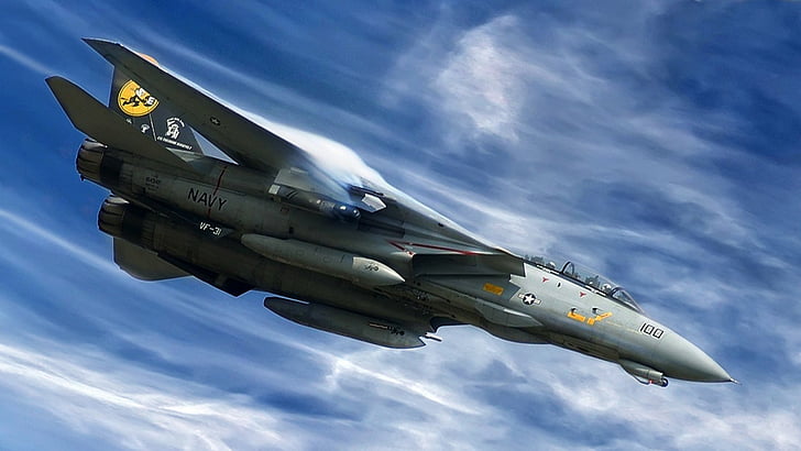 Hd Wallpaper Jet Fighters Grumman F 14 Tomcat Wallpaper Flare