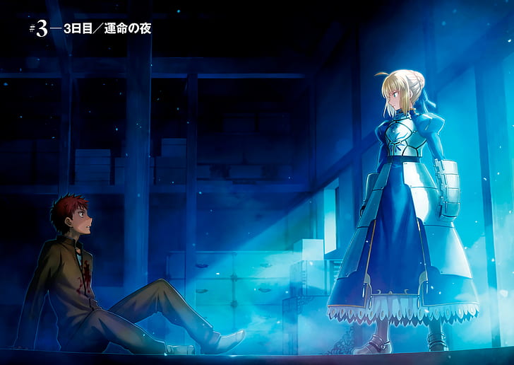 Fate Series, Fate/Stay Night, Saber (Fate Series), Shirou Emiya, HD wallpaper