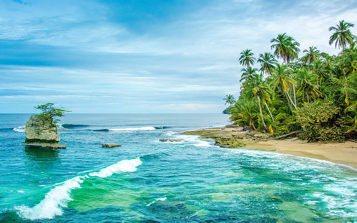 HD wallpaper: Costa Rica Wild Caribbean Beach In Manzanillo Sandy Beach  Ocean Waves Palm Trees 2560×1600 | Wallpaper Flare