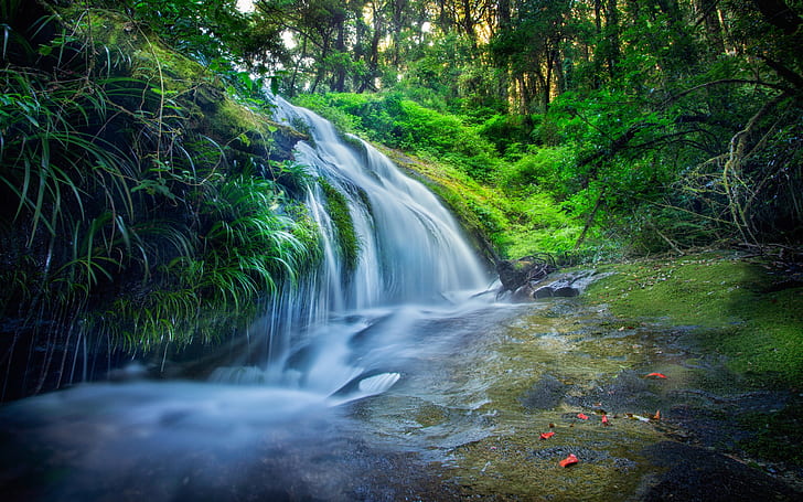 Thailand, forest, leaves, waterfalls, stream, trees, waterfall painting, HD wallpaper