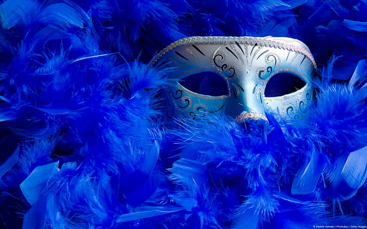 mask, blue, feathers, venetian masks, HD wallpaper