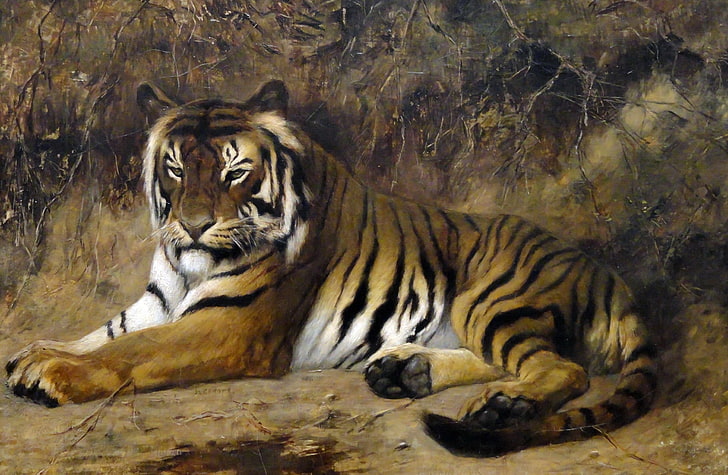 cat, animals, picture, Tiger, Jean-Leon Gerome, HD wallpaper