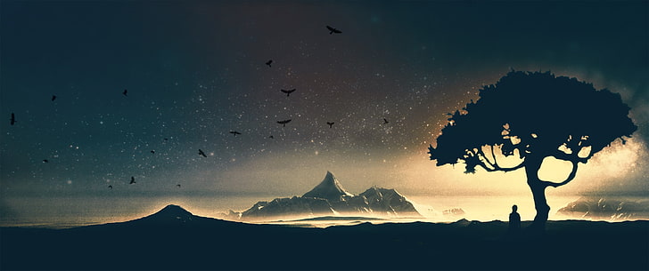 silhouette of tree, silhouette of tree near mountain during night
