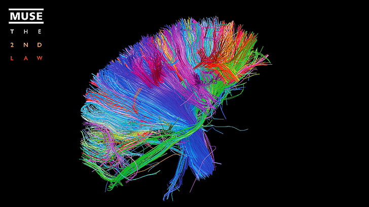 blue and multicolored textile, brain, neurons, Muse , multi colored