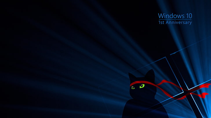 Windows 10 1st Anniversary illustration, cat, green, red, blue HD wallpaper
