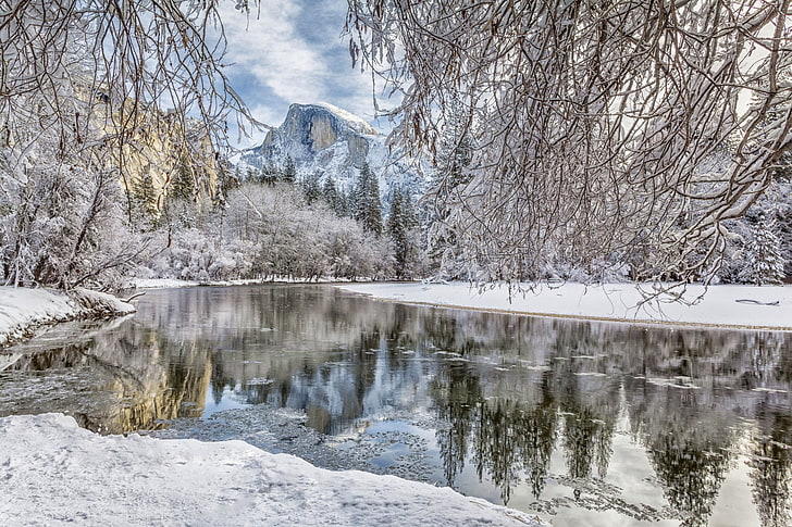 winter, forest, snow, branches, river, mountain, CA, California, HD wallpaper
