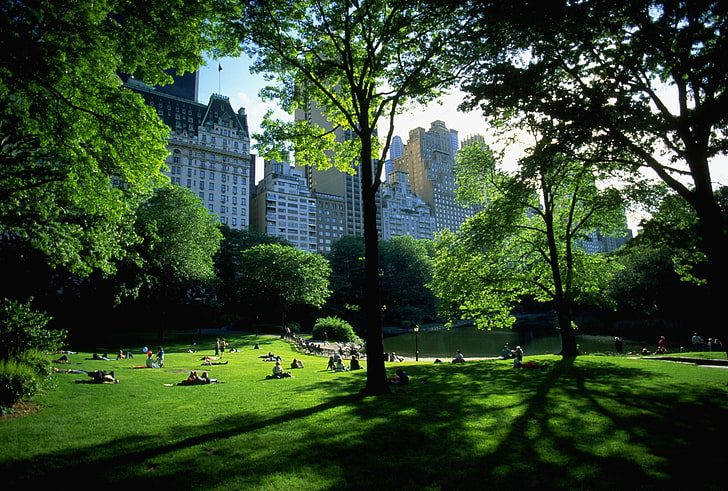 people on park near high-rise buildings at daytime, architecture