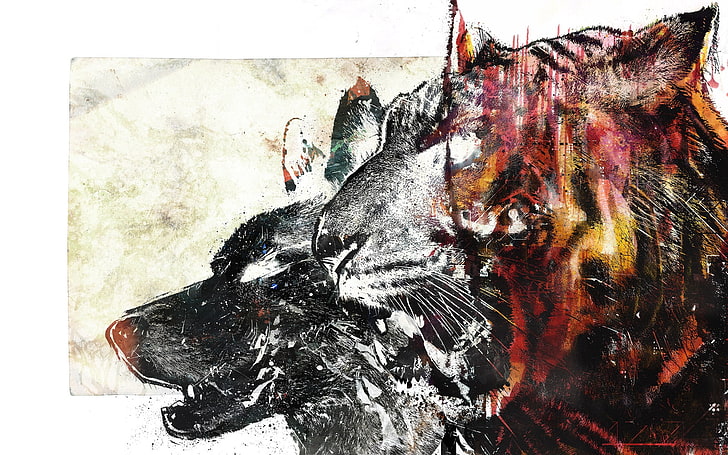painting of red tiger, wolf, drawing, white, animal, mammal, illustration