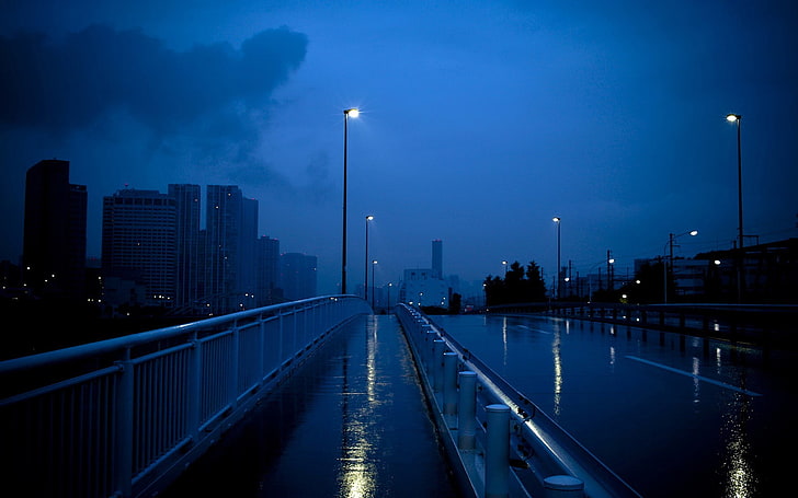 street lights lot, rain, night, wet street, cityscape, blue, architecture