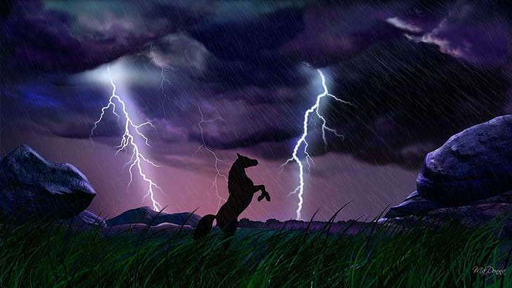 Dark Stormy Night, firefox persona, lightning, grass, horse, rocks, HD wallpaper