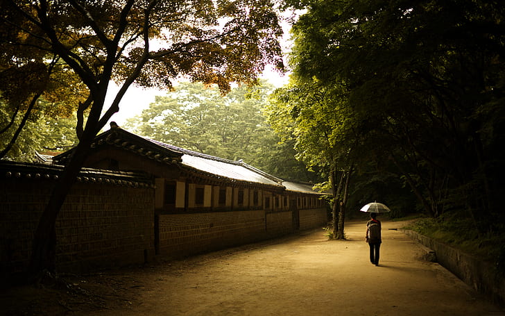 girl, wall, umbrella, solace, Seoul, the Palace of prospering virtue, HD wallpaper