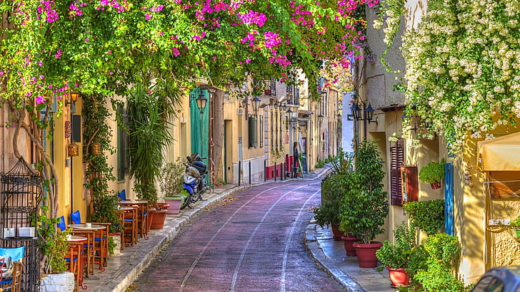 purple and white bougainvillea flowers, Cities, Athens, Architecture