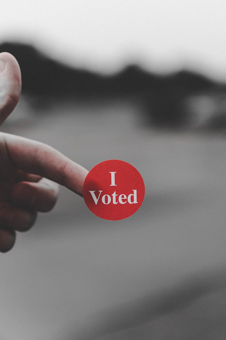 sticker, inscription, hand, vote, choice, red, human hand, human body part