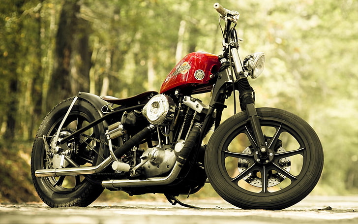 red cruiser motorcycle, Harley Davidson, mode of transportation, HD wallpaper